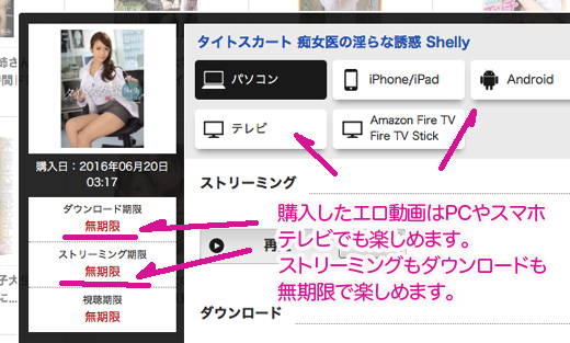 購入作品の視聴・再ダウンロード